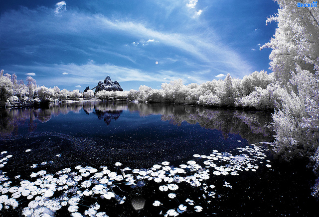 5913147541 7ddb1b5760 z1 45 Impressive Examples of Infrared Photography