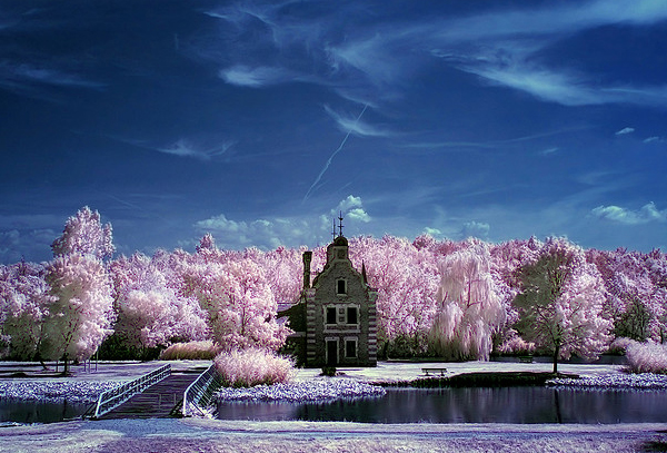 cottoncandy factory 45 Impressive Examples of Infrared Photography