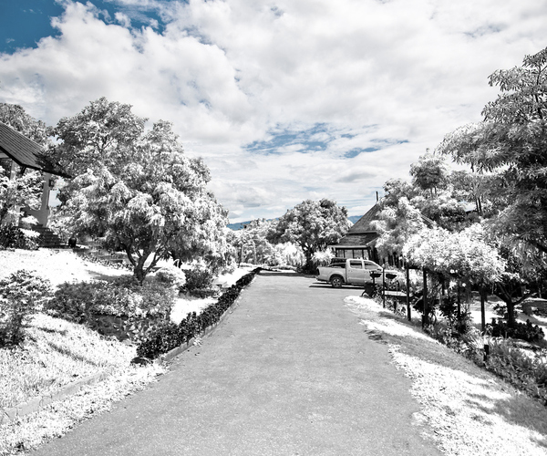 infrared 45 Impressive Examples of Infrared Photography