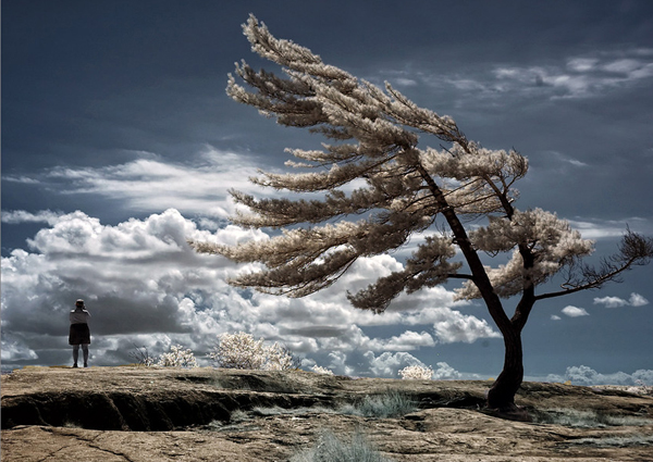 lone pine 45 Impressive Examples of Infrared Photography