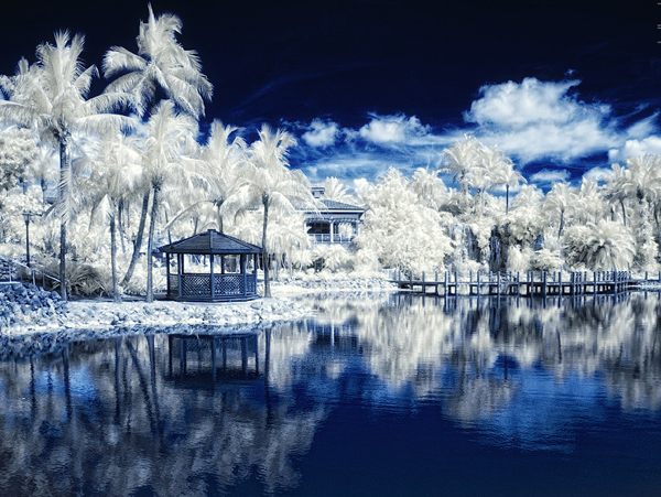 miami ir ii 45 Impressive Examples of Infrared Photography