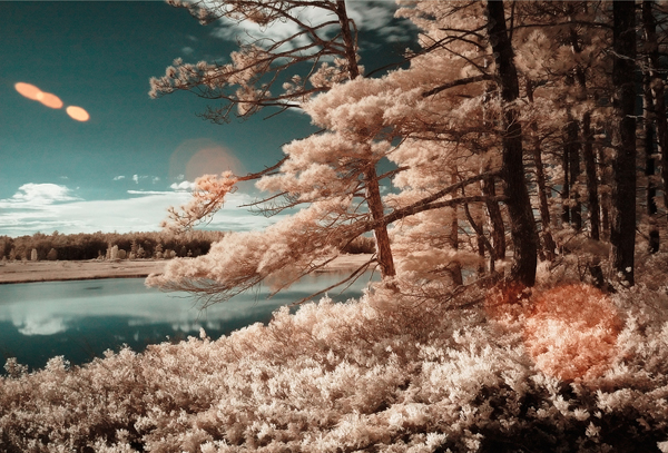 stockton infrared 45 Impressive Examples of Infrared Photography