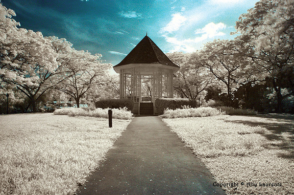 enhanced buzz 9058 1315243374 61 45 Impressive Examples of Infrared Photography
