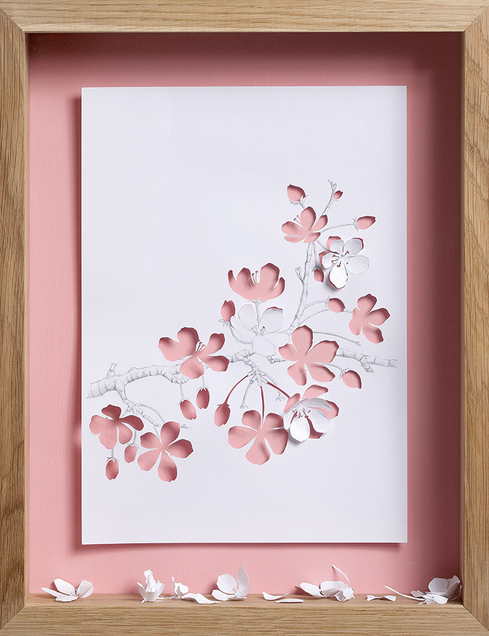 15 apple blossom 11 25 Striking Framed Papercuts by Peter Callesen