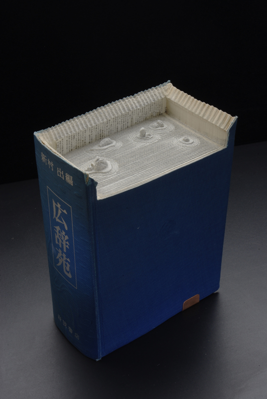 18 ryoanjis v21 Mind Blowing Book Sculptures by Guy Laramee